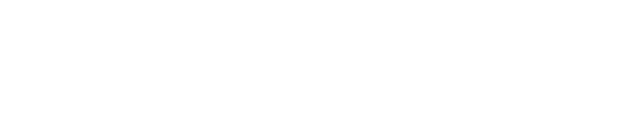 NoizCode Logo